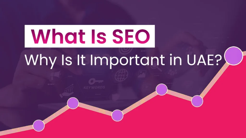 what is seo best software solutions in uae