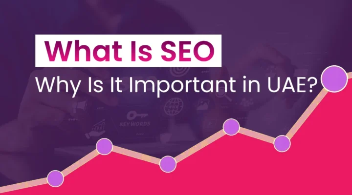 what is seo best software solutions in uae